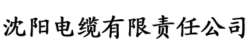 光棍影院免费电脑版电缆厂logo